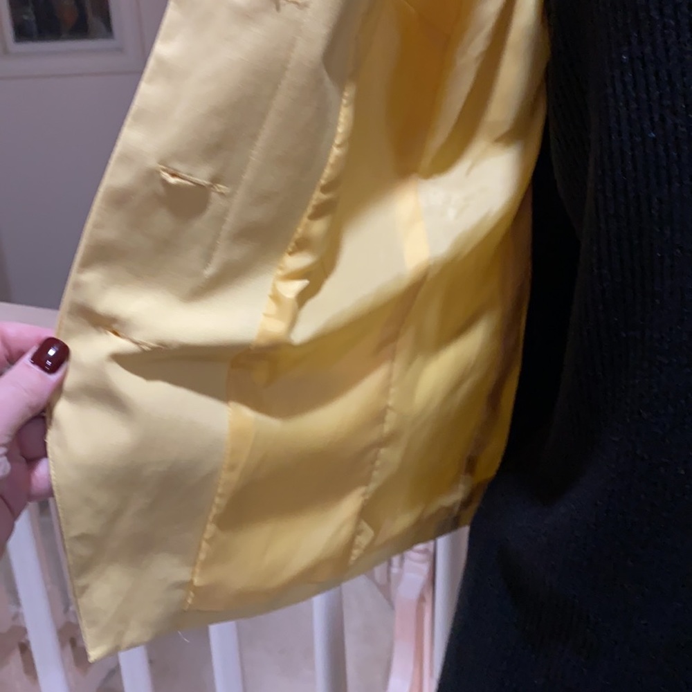 Yellow jacket 🐝 - Picture 5 of 8